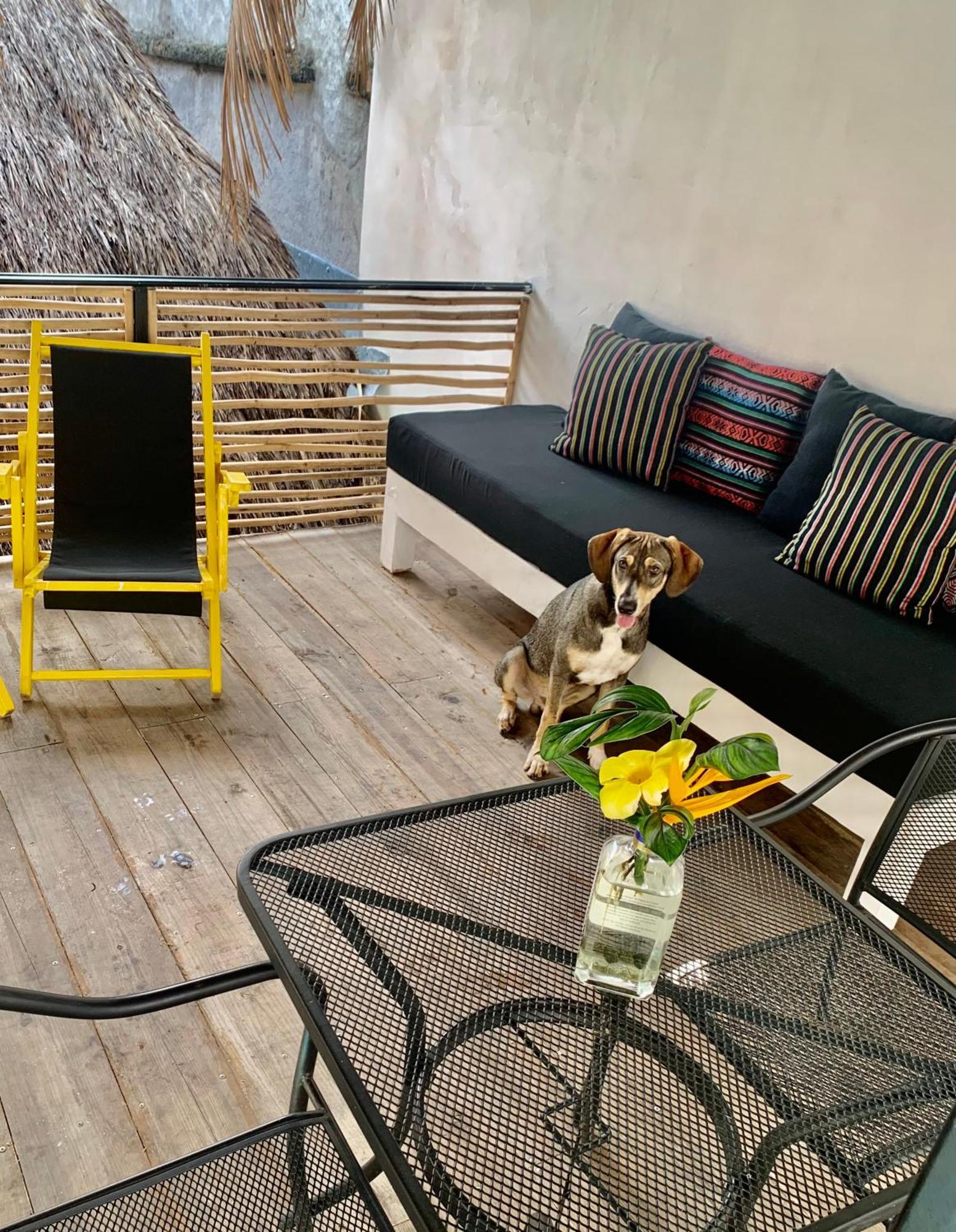 Sayulita Surf Bungalows Eksteriør bilde